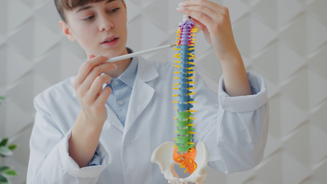 側弯症,ヨガ,思春期,ピラティス